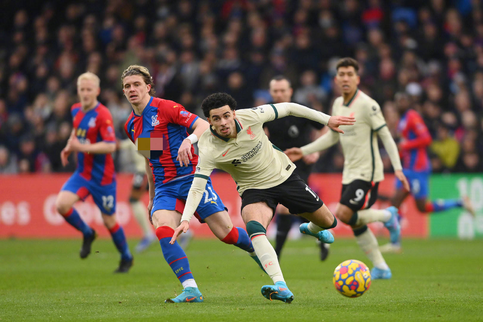 从意甲签约 从意甲签约